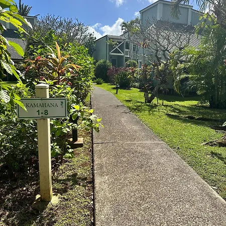 Kamahana 3 Private Condo With Yard